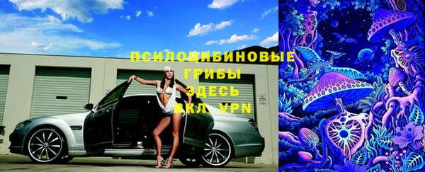 Альфа ПВП Алексин