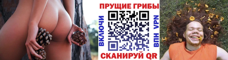 OMG ТОР  Касли  Галлюциногенные грибы ЛСД  цена наркотик 