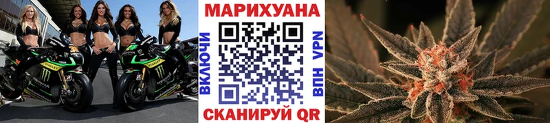 маркетплейс как зайти  Касли  Марихуана сатива 